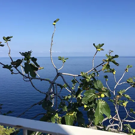 B&B Costa Viola