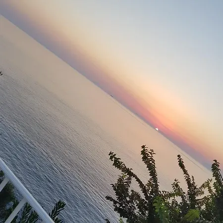 Costa Viola *