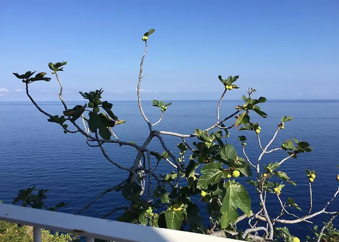 Bed and breakfast Costa Viola